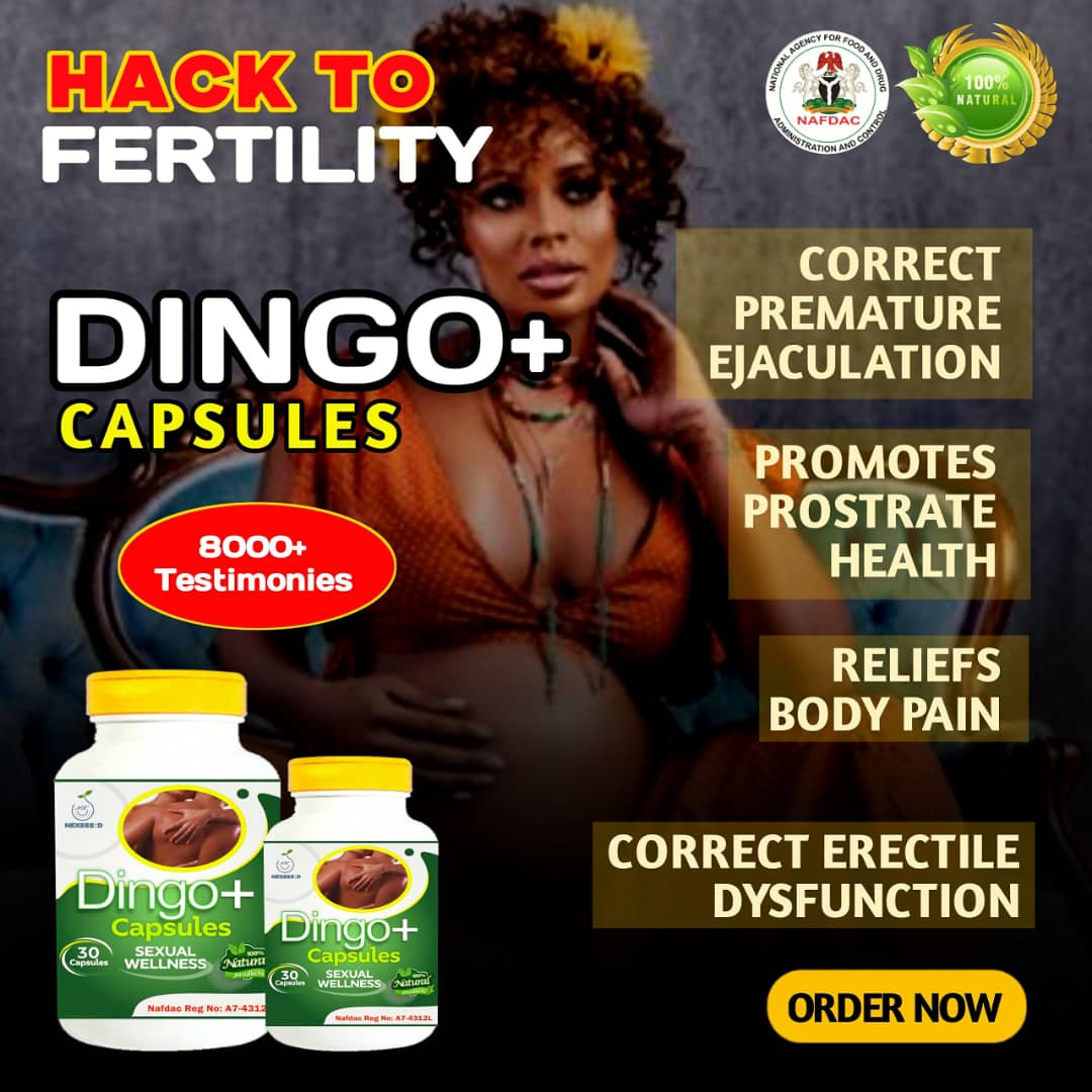 WhatsApp Image 2024-10-15 at 17.33.56_379254d5